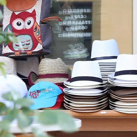 Bagaric -ispod Brda Ukazanja Adress Kraljice Mira 56 Bijakovci Medjugorje